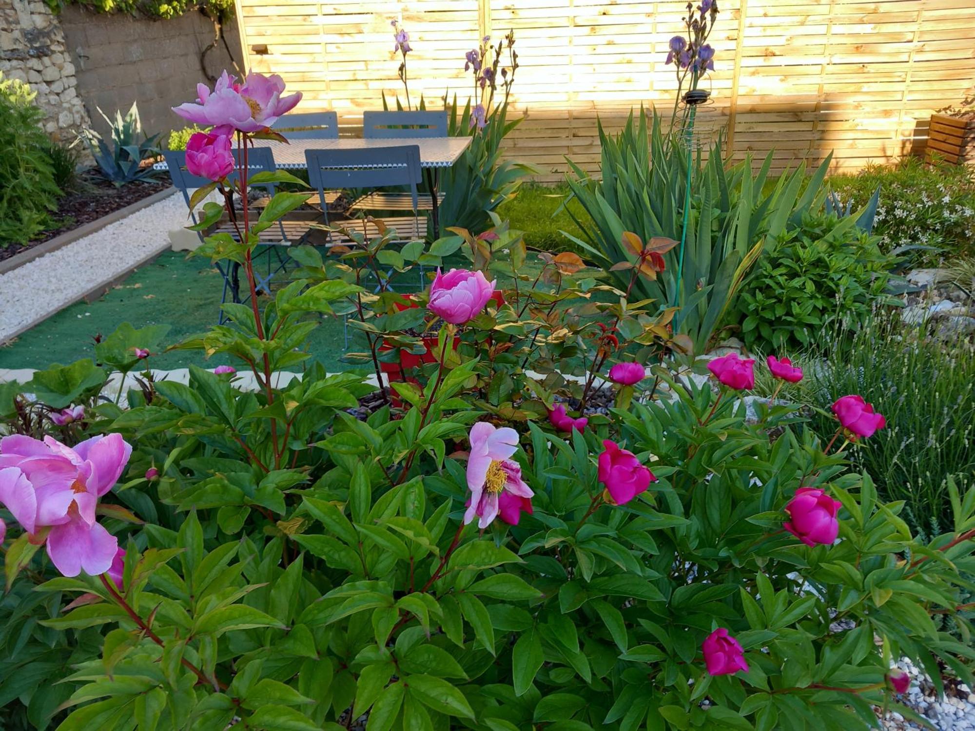 Chez Bea Bed & Breakfast Chatellerault Ngoại thất bức ảnh